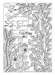 Free maple leaf coloring page printable. Pin On Websites