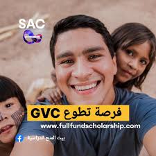 جماعة عندي استفسار بشأن خانة الخبرة المكتسبة في السيرة الذاتية ايش المفروض  اكتب داخلها كمقدمة لمنحة دراسية علما اني مااشتغلت في شيء معين من قبل