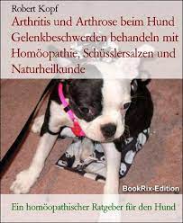 Arthritis Und Arthrose Beim Hund Gelenkbeschwerden Behandeln Mit Homoopathie Schusslersalzen Und Naturheilkunde Von Robert Kopf Ebooks Orell Fussli