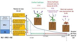 Le sol et la végétation contrôlent la répartition de la pluie entre le ruissellement et les écoulements souterrains, comme entre l'évaporation et or les liens entre l'eau et le sol sont loin d'être évidents, parce qu'il n'est pas possible d'observer directement les processus, et que l'hétérogénéité du sol est. Rfu Et Rs Des Parametres A Connaitre Pour Irriguer Ses Cultures