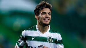 Mickaël franck poté (born 24 september 1984) is a beninese professional footballer who plays as a forward for turkish club bandırmaspor. Pote Volta Na Allianz Cup Apos Suspensao Sporting Jornal Record
