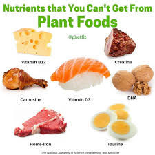 Pin On Diet Veganlife