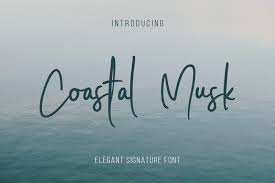 Thousands of designers (famous or not) use the image font detection system to find a font or similar free fonts from an image. Coastal Musk Font
