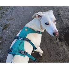 Jeder einzelne von unserer redaktion begrüßt sie als interessierten leser zum großen produktvergleich. Ruffwear Hundegeschirr Flagline Dreipunkt Sicherheitsgeschirr