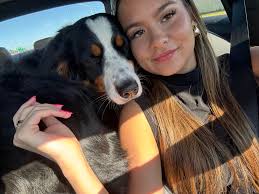 What's your experience with anxious pups after doggy daycare?