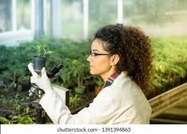 نتیجه جستجوی لغت [biologist] در گوگل