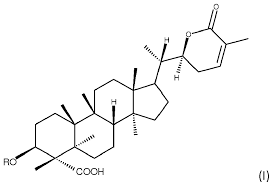 Image result for Lippia somalensis