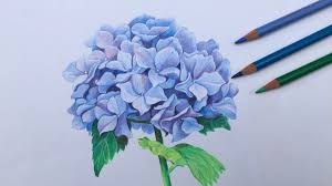 Pin On Drawing And Painting