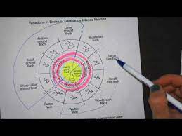 If asked, answer by placing same. Regents Review Beaks Of Finches State Lab Youtube
