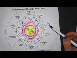 Predict which species of finch would be most beaks of finches lab answer packet download. Regents Review Beaks Of Finches State Lab Youtube