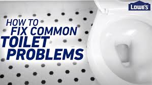 Flapper or flush valve seal: Common Toilet Problems