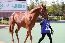 ユルークうーま On Twitter ロマンのある配合 わんだーに似てるなと思って撮っていました 調べてみると 父グラスワンダー 母父スペシャルウィーク これは なんだか凄く応援したいです グラスワンダーを愛でるシリーズ グラスワンダー産駒