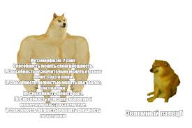 The fastest meme generator on the planet. Create Meme Manny Dog Inflated Doge Meme Template Dog Jock Pictures Meme Arsenal Com