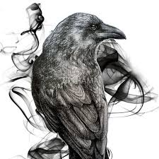 Black And White Raven Drawing Raven Crow Realistic Drawing Google Search Crow Tattoo Raven Tattoo Crows Drawing