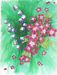 Birth Month Flower Grow Kit Canada Lily Of The Valley And Hawthorne May Birth Flowers Birth Flower Tattoos Birth Flowers