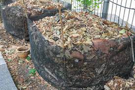 How To Use Leaves For Compost And Mulch Gardener S Path