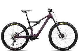Image result for Orbea knobelii