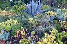 See more ideas about xeriscape, xeriscape landscaping, landscape design. Xeriscape Gardening For Beginners Gardens Nursery