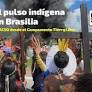 El pulso indígena en Brasilia: CLACSO desde el Campamento Tierra Libre