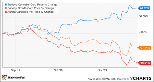 Why Trulieve May Be The Safest Pot Stock To Buy Today The