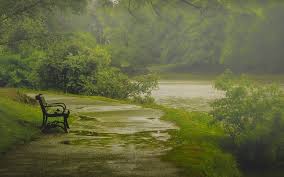 Pin By Satwinder Singh On Banke Photography Inspiration Nature Rain Wallpapers Nature Photography