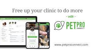Cashback dash top 3 largest exchange to trade bitcoin and crypto. Petpro Connect Client Engagement Software For Veterinary Clinics