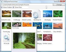 Ico to icns, icns to ico, png to icns & more. Wpf Filename To Icon Converter Codeproject