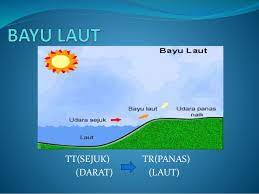 We did not find results for: Geofizik Stpm Tnti Memahami Kejadian Bayu Laut Dan Bayu Darat