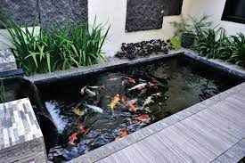 Bagi pecinta binatang air, memikirkan desain kolam tentu menjadi hal utama yang wajib dilakukan. 9 Alasan Mengapa Perlu Memiliki Kolam Ikan Di Rumah Halaman All Kompas Com