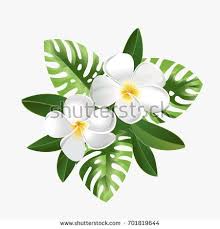 Pin On Designs