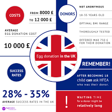 Dealsnow can help you find several results within seconds. Egg Donation Ivf Uk Prices Timelines And Laws 2021 Guide