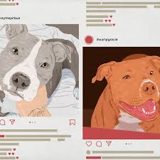 Los angeles county, los angeles, ca id: The Pit Bull Influencers Reclaiming The Dogs Image One Ig Post At A Time The Ringer