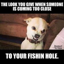 Funny Fishing Memes Part 4 Respect The Fish Funny Animal Memes Cute Animal Memes Funny Animal Jokes