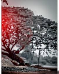 100 Picsart Background Hd Download Picsart Blur Background Download Zip Picsart Background Zi Dslr Background Images Picsart Background New Background Images
