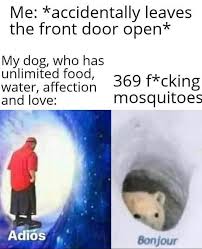 Don't worry, feel free to post regular content instead of just memes. Life Is Hard Adios Wormhole Know Your Meme