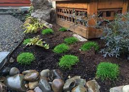 Maybe you would like to learn more about one of these? Bark Dust The Definitive Guide For Portland Landscapes