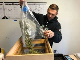 Santa cruz veterans alliance on 2827 s rodeo gulch rd. Santa Cruz Veterans Ready For Va To Change Stance On Pot Kqed