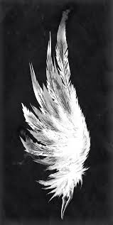 Black And White Angel Wings Wallpaper 50 Amazing Wallpaper In 2020 Wings Wallpaper Angel Wallpaper Wings Drawing