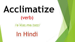نتیجه جستجوی لغت [acclimatized] در گوگل
