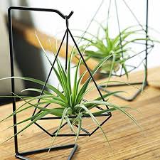 Affiliatelink Mkouo Hangende Metall Tillandsia Air Pflanze Luftpflanzen Deko Rackhalter Mit Stander Blumentopf Sch Decoracion Plantas Planta De Aire Macetero
