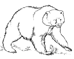 Or instead, you might imagine a wet, dark, and noisy rainforest, where you can see monkeys, parrots, and big cats. Free Printable Bear Coloring Pages For Kids
