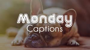 Find a job you like and you will add five days to. 50 Funny And Motivational Monday Captions Ultra Wishes