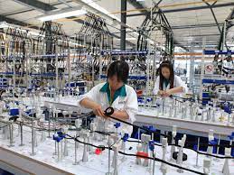 O FirmÄƒ Din Germania CautÄƒ 100 De Persoane Pentru A Lucra In BeiuÈ™ Oradea In Direct