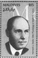Hermann joseph muller (or h. Hermann Muller Nobel Prize For Contributions To Genetics Mayo Clinic Proceedings