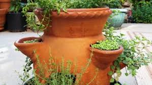 The longevity of ceramic and clay pots can be. Growing Herbs In A Strawberry Pot Finegardening