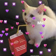 822540319422551502 Favland Org Cute Love Memes Cute Cat Memes Cat Memes