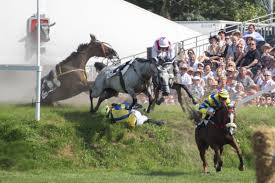Laten we daarom speciaal vandaag ons waregem koerse toch wat laten leven op sociale media. Gaia Waregem Koerse Eist Hoge Tol De Standaard Mobile