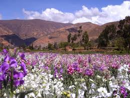 Sigue al otoño y precede a la primavera. Estaciones Del Ano En Peru Viajar A Peru