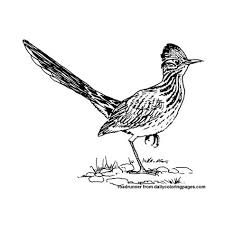 Toyota rav4 toyota land cruiser prado. Roadrunner Coloring Pages Learny Kids