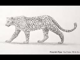 Maybe you would like to learn more about one of these? Fine Arts Tips How To Draw A Leopard With Pencil By Leonardo Pereznieto